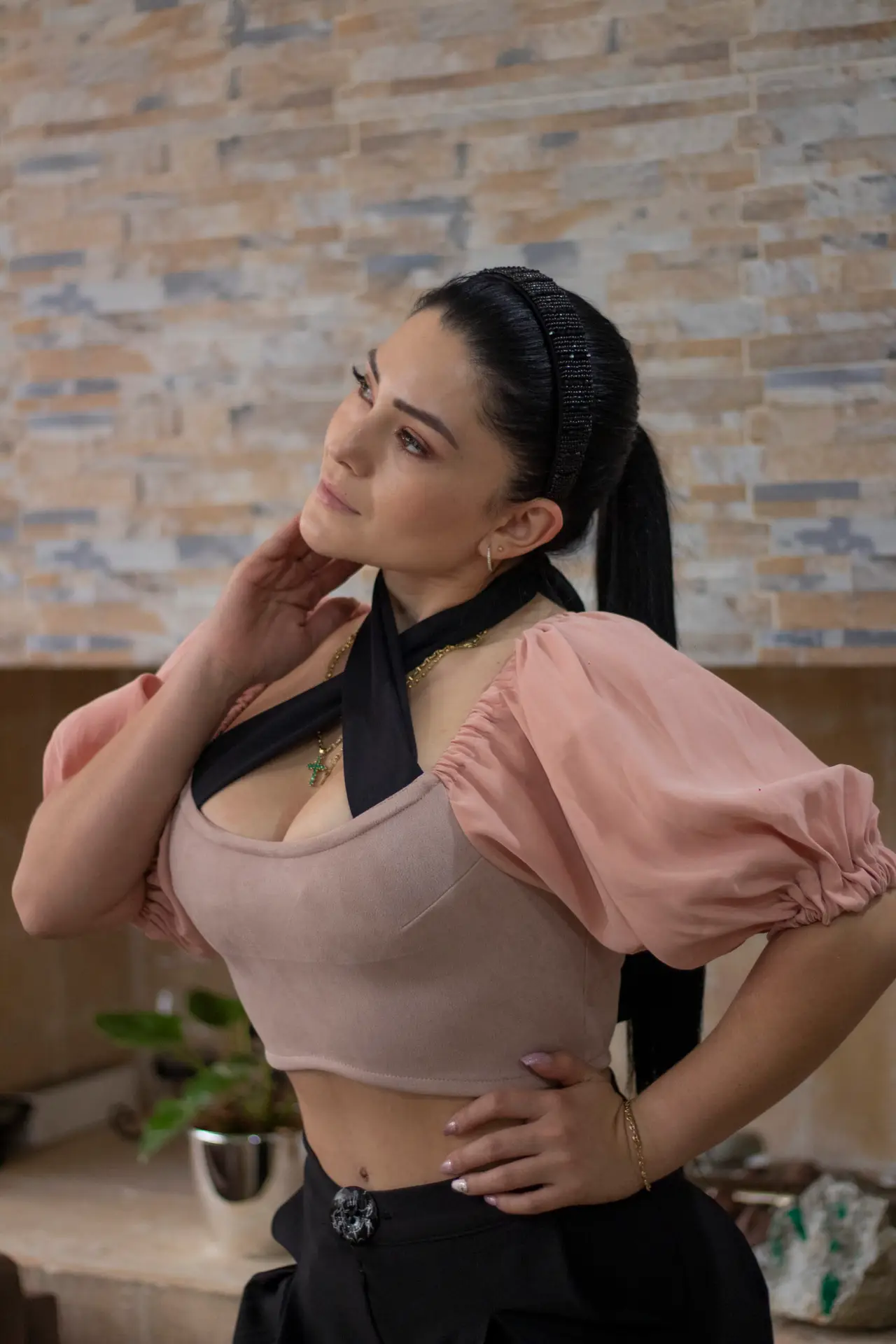 rosa 6